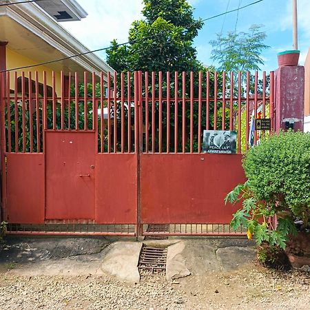 Peace Lily Studio Apartments Panglao-stad Buitenkant foto