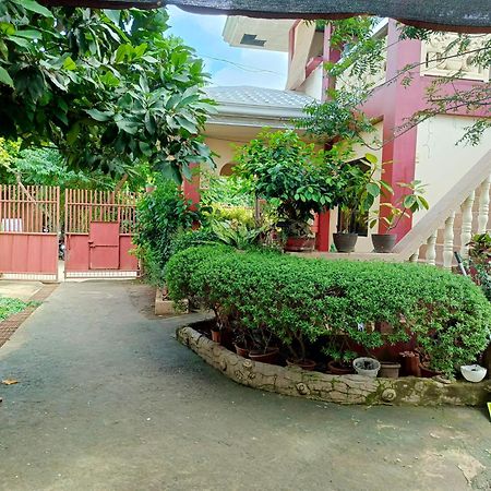 Peace Lily Studio Apartments Panglao-stad Buitenkant foto
