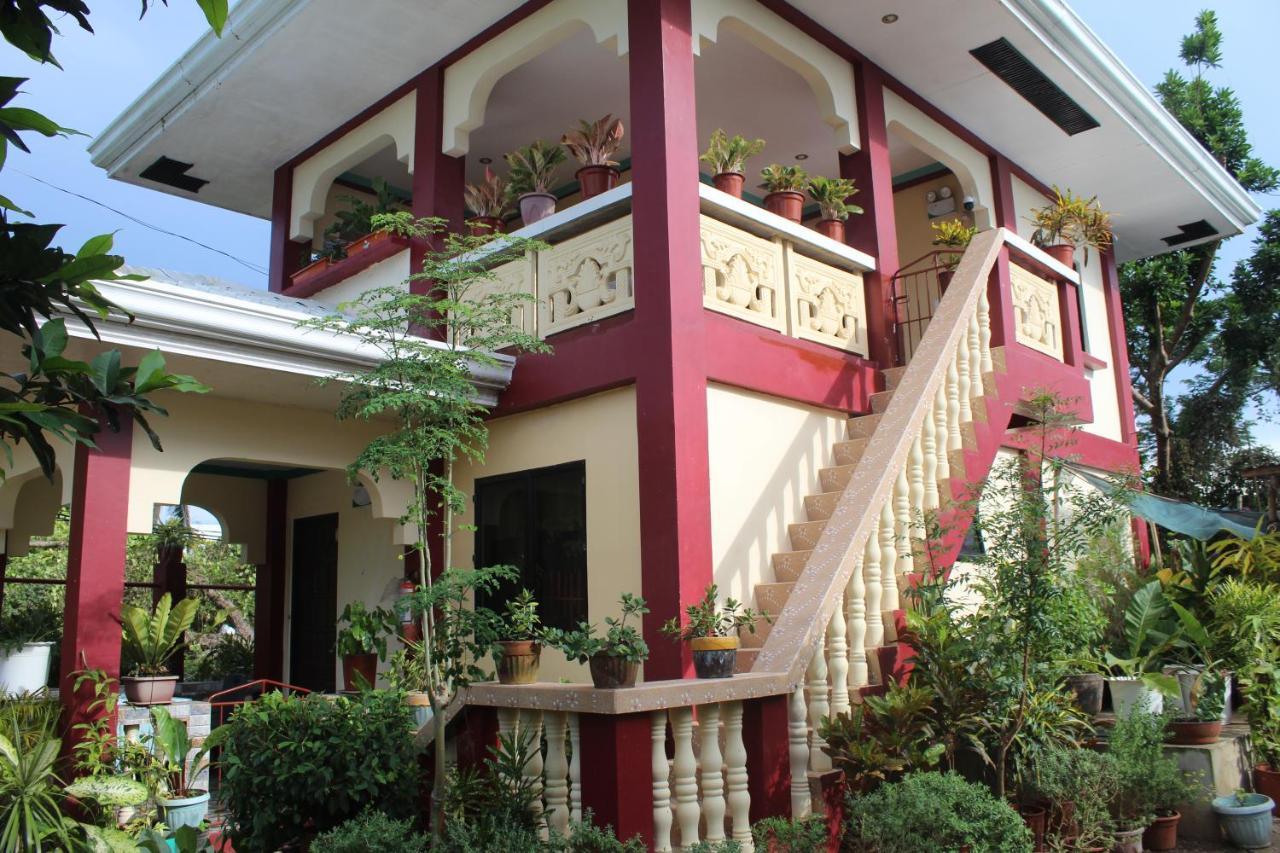 Peace Lily Studio Apartments Panglao-stad Buitenkant foto