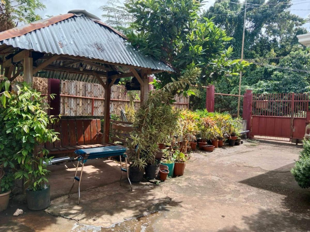 Peace Lily Studio Apartments Panglao-stad Buitenkant foto