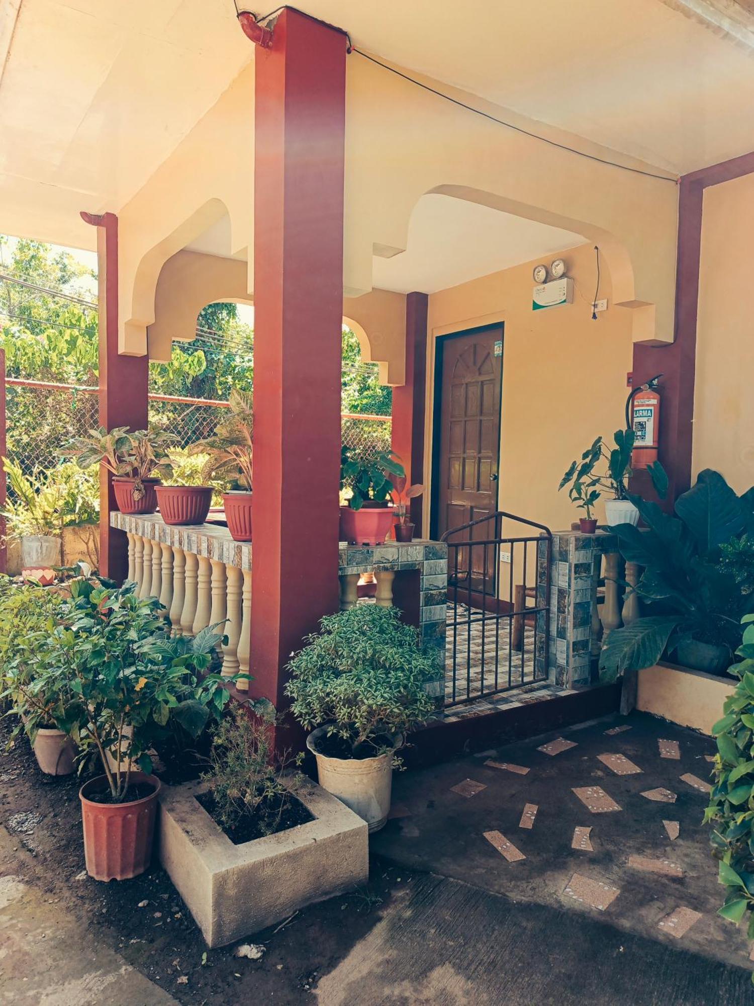Peace Lily Studio Apartments Panglao-stad Buitenkant foto