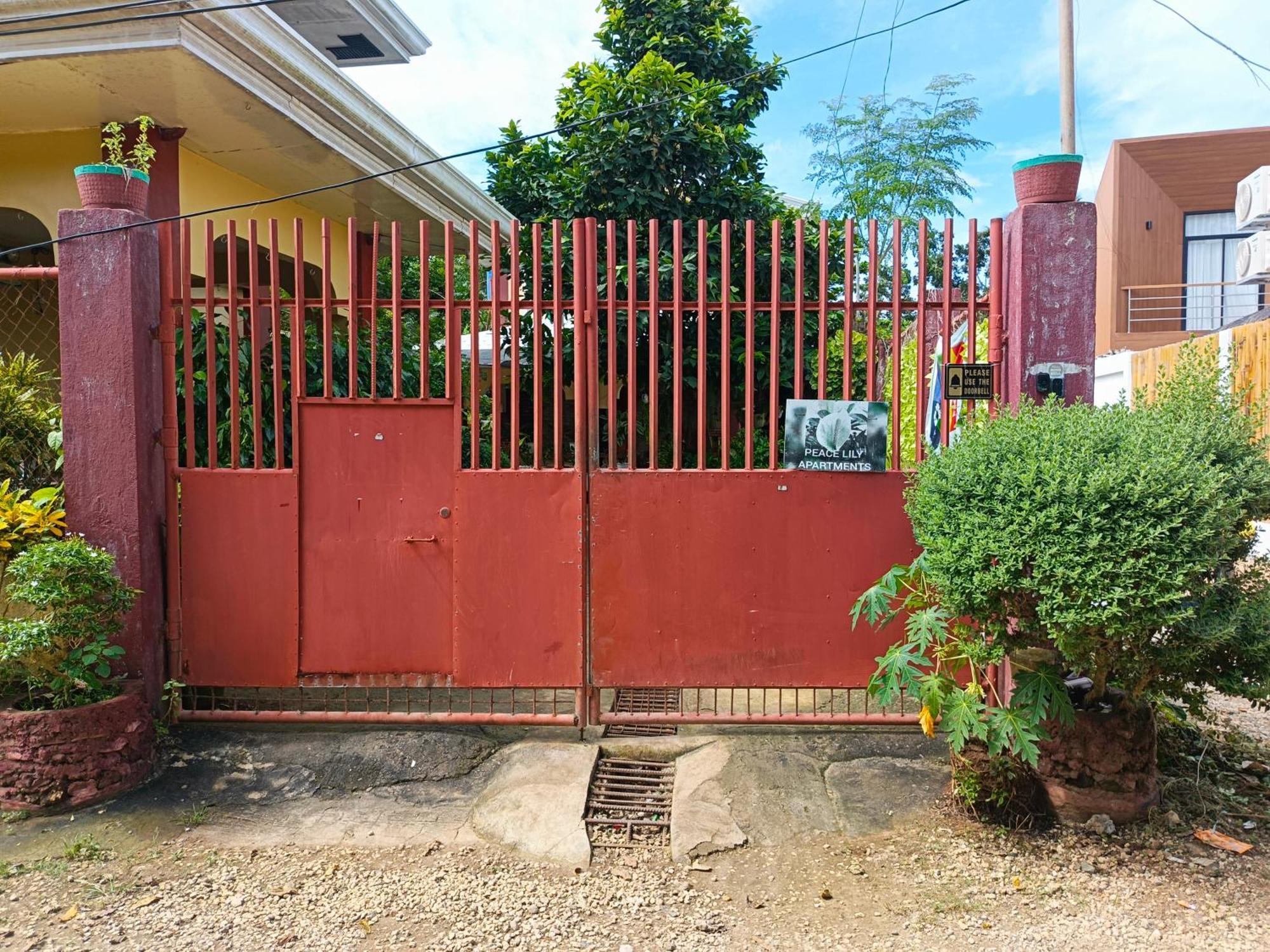 Peace Lily Studio Apartments Panglao-stad Buitenkant foto