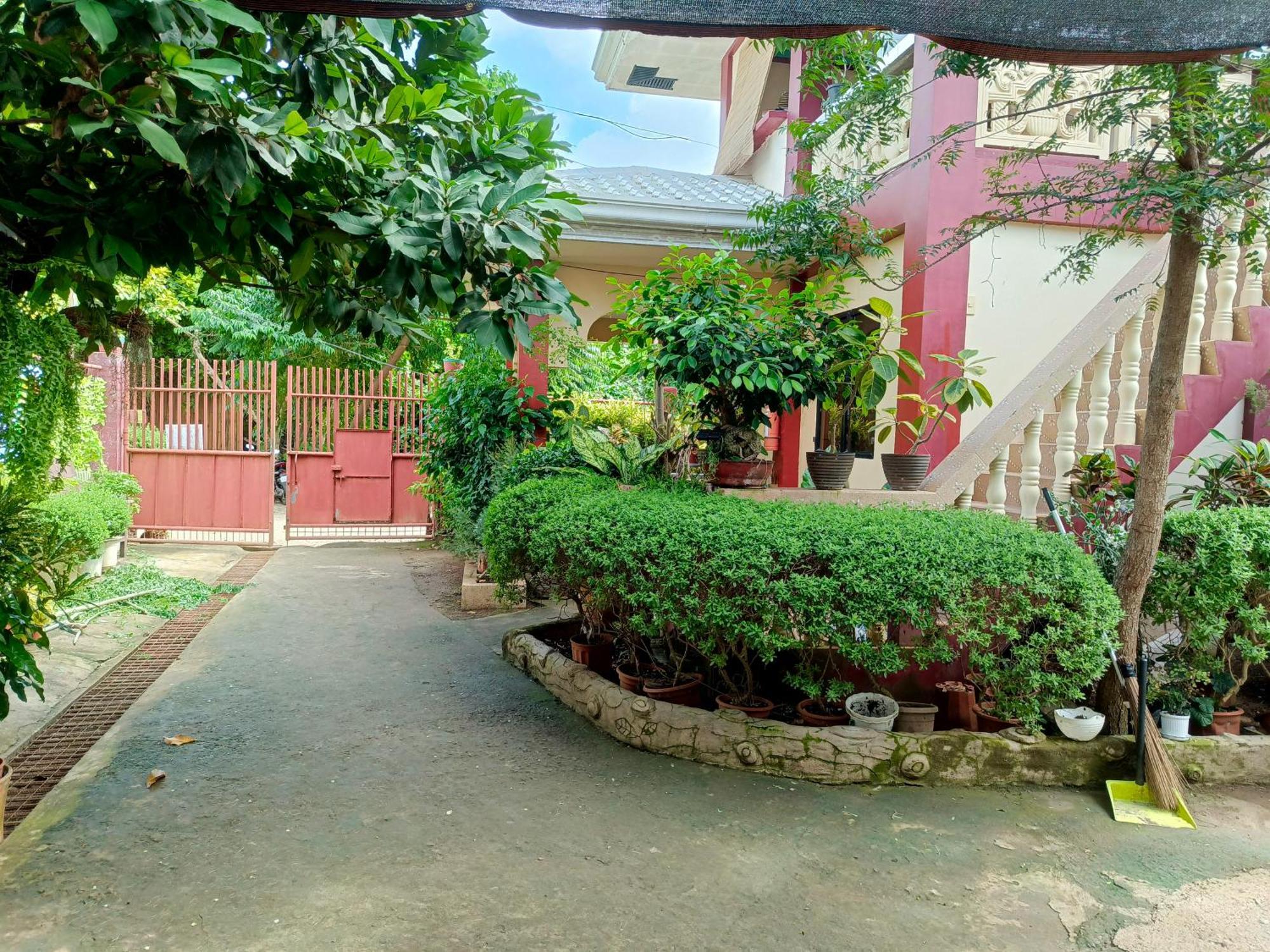 Peace Lily Studio Apartments Panglao-stad Buitenkant foto