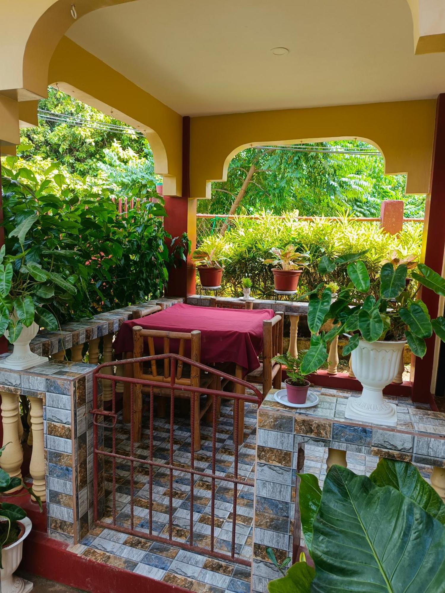 Peace Lily Studio Apartments Panglao-stad Kamer foto