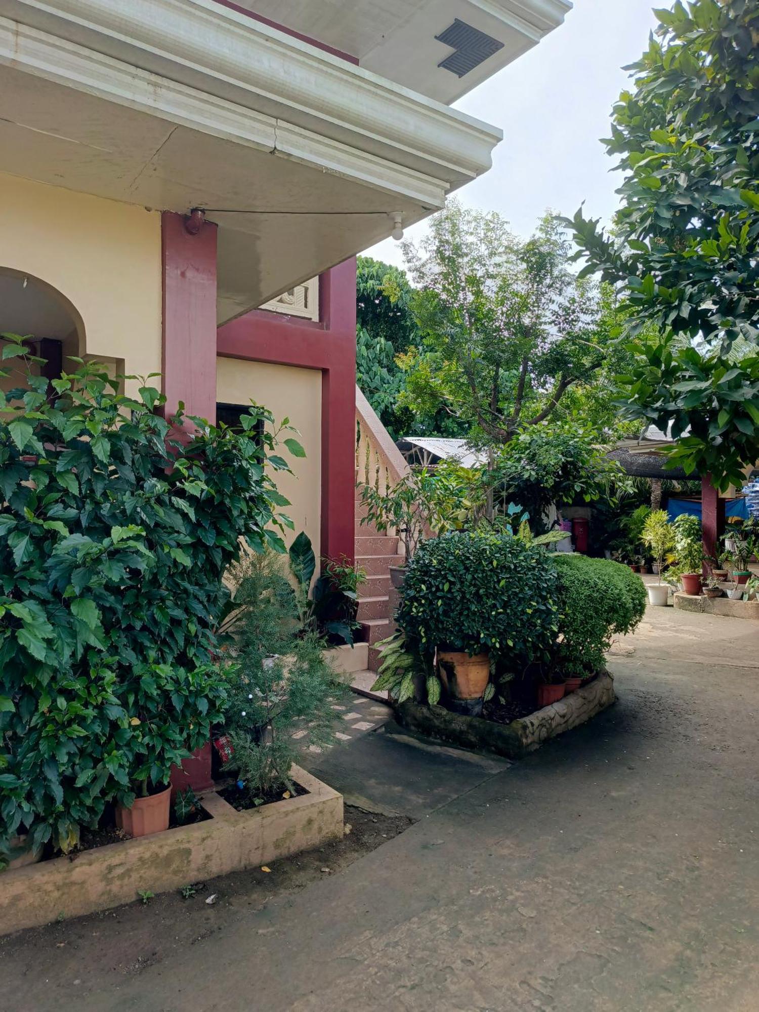 Peace Lily Studio Apartments Panglao-stad Buitenkant foto
