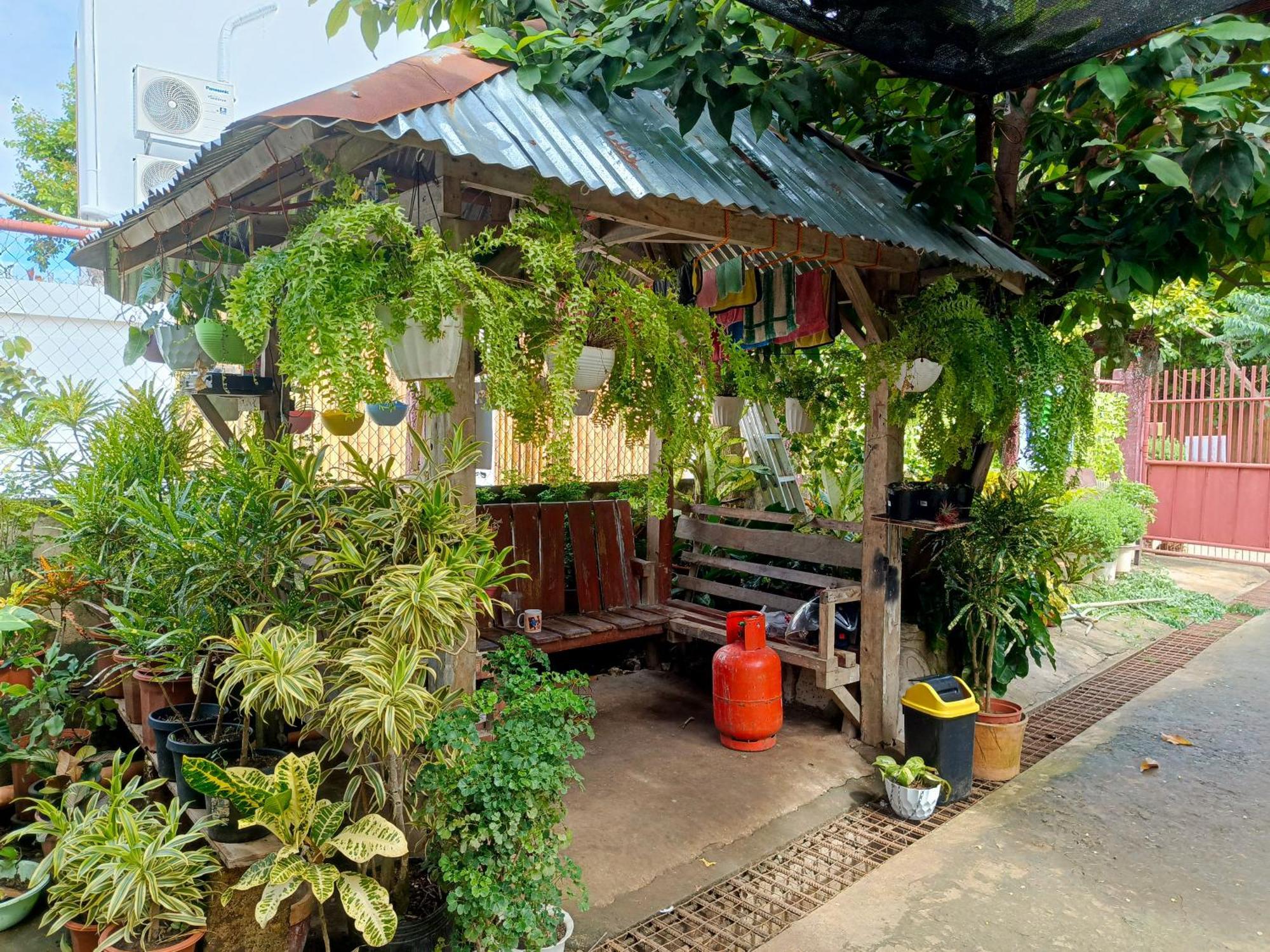 Peace Lily Studio Apartments Panglao-stad Buitenkant foto